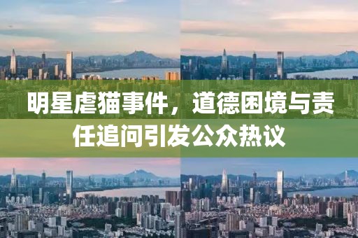 明星虐貓事件，道德困境與責(zé)任追問引發(fā)公眾熱議
