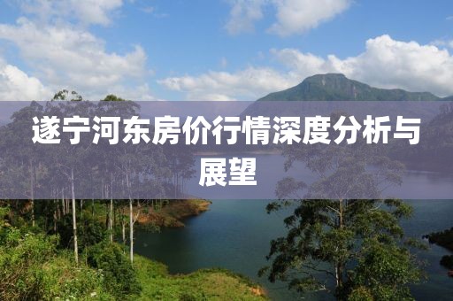 遂寧河東房價行情深度分析與展望