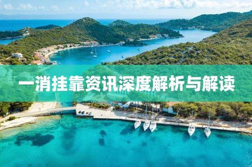 一消掛靠資訊深度解析與解讀