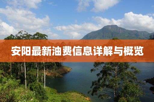 安陽最新油費(fèi)信息詳解與概覽