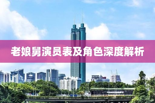 老娘舅演員表及角色深度解析