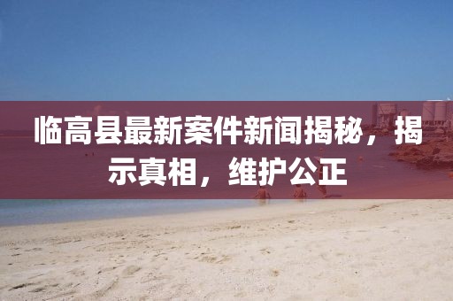 臨高縣最新案件新聞揭秘，揭示真相，維護(hù)公正