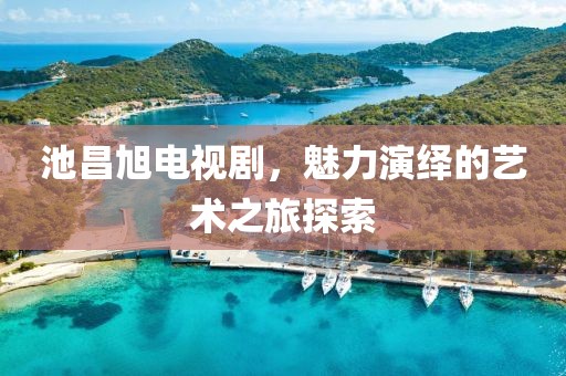 池昌旭電視劇，魅力演繹的藝術(shù)之旅探索
