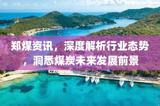 鄭煤資訊，深度解析行業(yè)態(tài)勢，洞悉煤炭未來發(fā)展前景