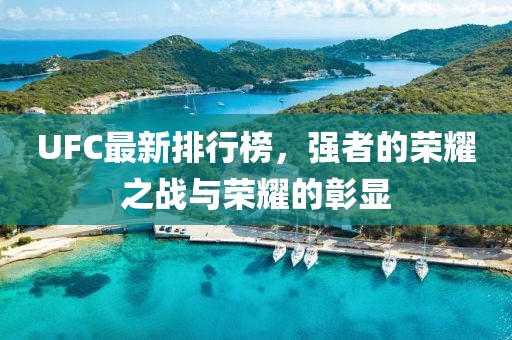 UFC最新排行榜，強(qiáng)者的榮耀之戰(zhàn)與榮耀的彰顯