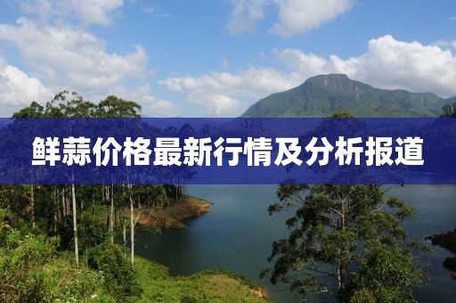 鮮蒜價格最新行情及分析報道