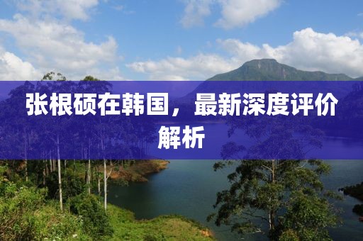 張根碩在韓國，最新深度評價解析