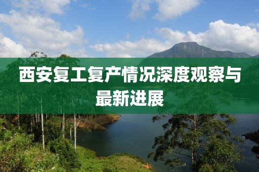 西安復(fù)工復(fù)產(chǎn)情況深度觀察與最新進(jìn)展