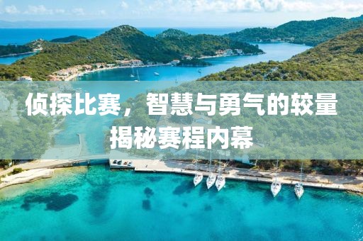 偵探比賽，智慧與勇氣的較量揭秘賽程內(nèi)幕