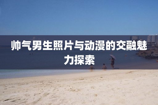 帥氣男生照片與動(dòng)漫的交融魅力探索