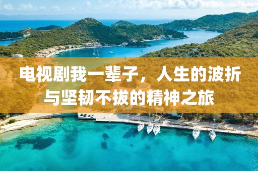 電視劇我一輩子，人生的波折與堅(jiān)韌不拔的精神之旅