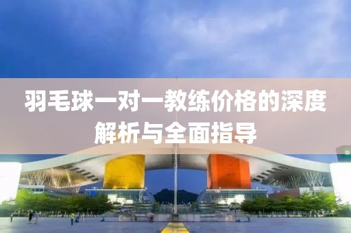 羽毛球一對一教練價格的深度解析與全面指導(dǎo)