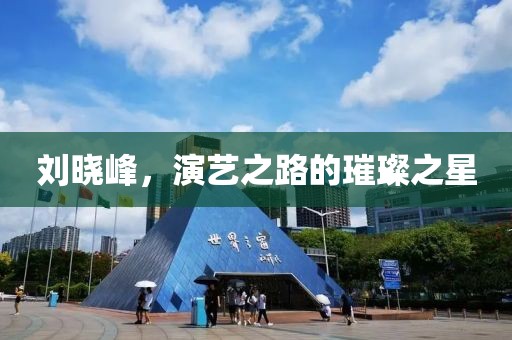 劉曉峰，演藝之路的璀璨之星