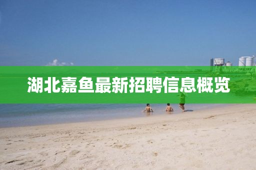 湖北嘉魚最新招聘信息概覽
