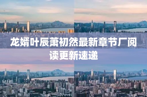 龍婿葉辰蕭初然最新章節(jié)廠閱讀更新速遞