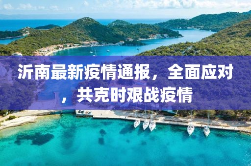 沂南最新疫情通報(bào)，全面應(yīng)對(duì)，共克時(shí)艱戰(zhàn)疫情