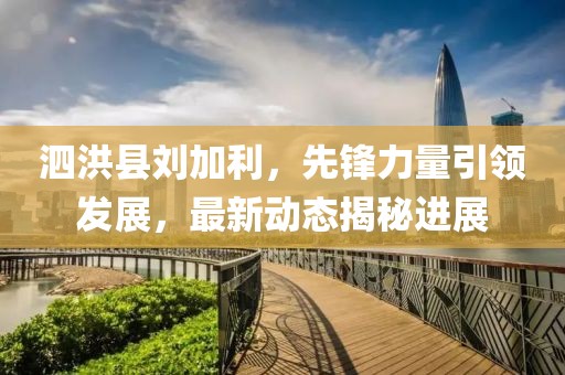 泗洪縣劉加利，先鋒力量引領(lǐng)發(fā)展，最新動態(tài)揭秘進展