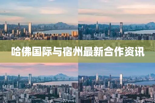 哈佛國際與宿州最新合作資訊