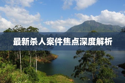 最新殺人案件焦點(diǎn)深度解析