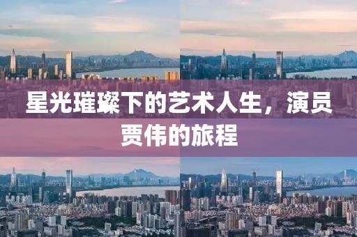 星光璀璨下的藝術人生，演員賈偉的旅程