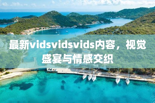 最新vidsvidsvids內(nèi)容，視覺盛宴與情感交織