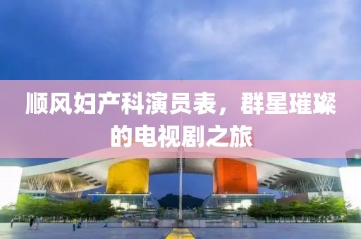 順風(fēng)婦產(chǎn)科演員表，群星璀璨的電視劇之旅