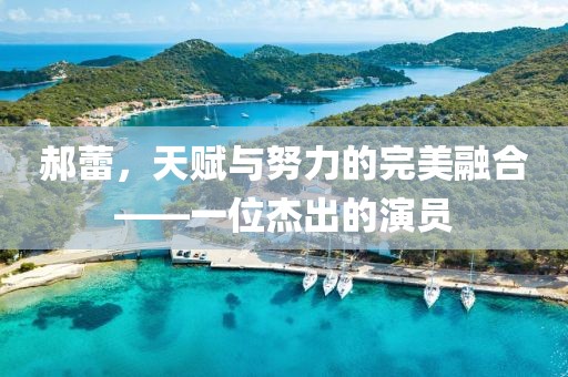 郝蕾，天賦與努力的完美融合——一位杰出的演員