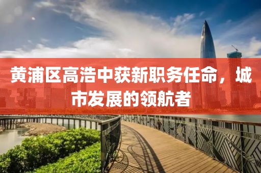 黃浦區(qū)高浩中獲新職務(wù)任命，城市發(fā)展的領(lǐng)航者