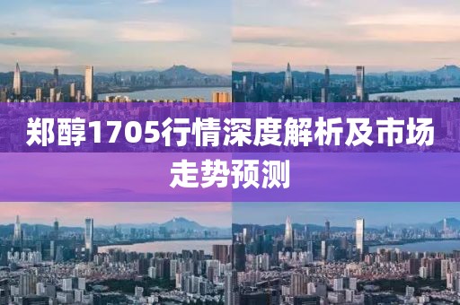 鄭醇1705行情深度解析及市場走勢預(yù)測