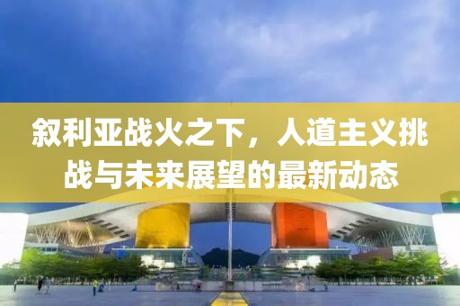 敘利亞戰(zhàn)火之下，人道主義挑戰(zhàn)與未來展望的最新動態(tài)
