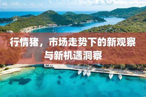 行情豬，市場走勢下的新觀察與新機遇洞察