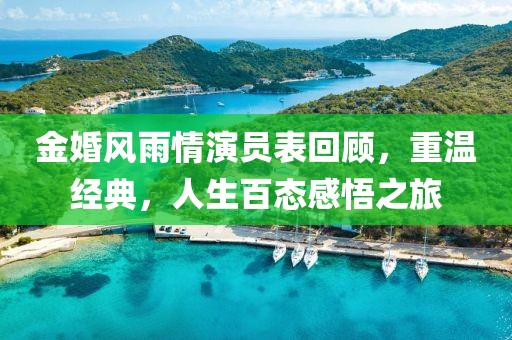 金婚風(fēng)雨情演員表回顧，重溫經(jīng)典，人生百態(tài)感悟之旅
