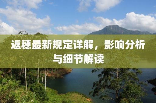返穗最新規(guī)定詳解，影響分析與細(xì)節(jié)解讀