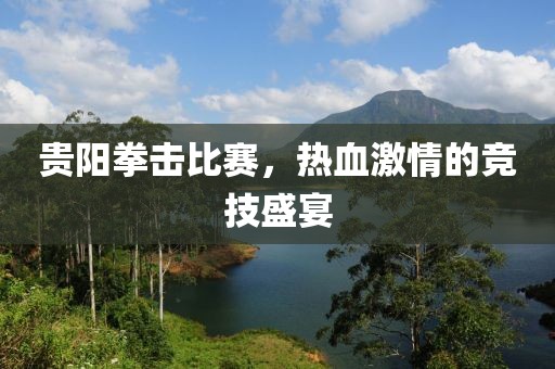 貴陽拳擊比賽，熱血激情的競技盛宴