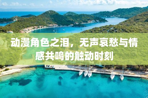 動漫角色之淚，無聲哀愁與情感共鳴的觸動時刻