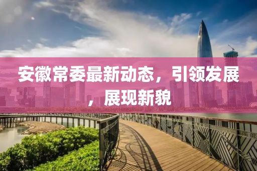 安徽常委最新動(dòng)態(tài)，引領(lǐng)發(fā)展，展現(xiàn)新貌