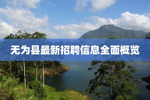 無為縣最新招聘信息全面概覽