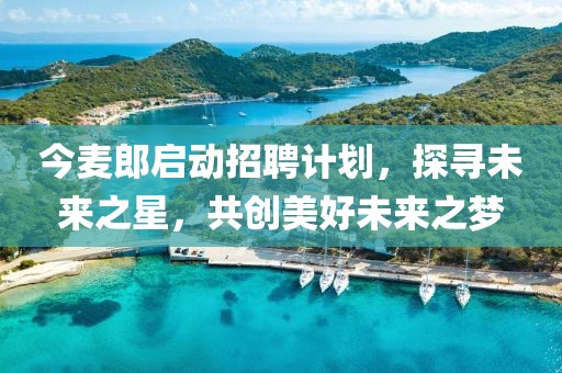 今麥郎啟動(dòng)招聘計(jì)劃，探尋未來之星，共創(chuàng)美好未來之夢