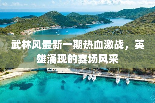 武林風(fēng)最新一期熱血激戰(zhàn)，英雄涌現(xiàn)的賽場風(fēng)采