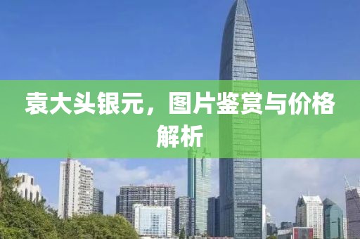 袁大頭銀元，圖片鑒賞與價(jià)格解析