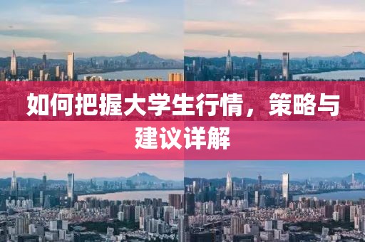 如何把握大學(xué)生行情，策略與建議詳解