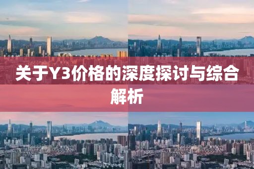關(guān)于Y3價格的深度探討與綜合解析