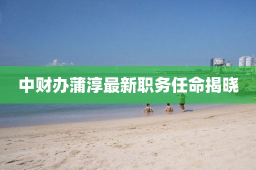 中財(cái)辦蒲淳最新職務(wù)任命揭曉