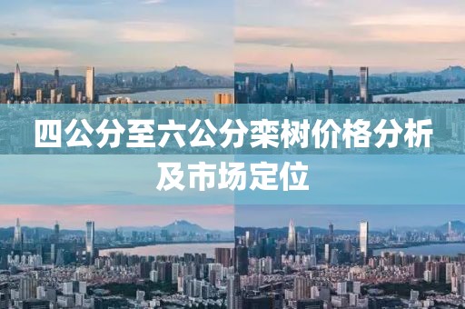 四公分至六公分欒樹(shù)價(jià)格分析及市場(chǎng)定位