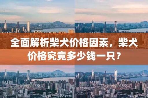 全面解析柴犬價(jià)格因素，柴犬價(jià)格究竟多少錢一只？