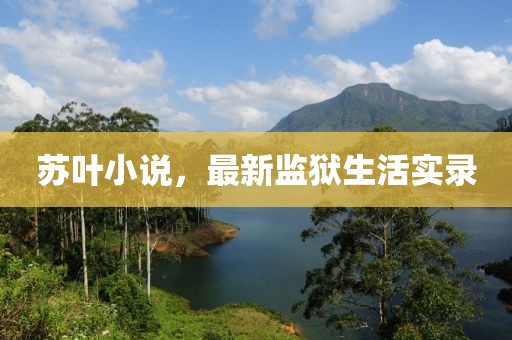 蘇葉小說(shuō)，最新監(jiān)獄生活實(shí)錄