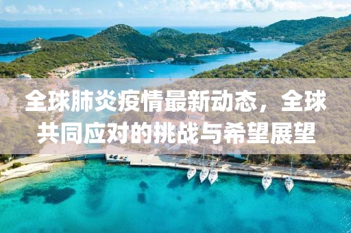 全球肺炎疫情最新動態(tài)，全球共同應(yīng)對的挑戰(zhàn)與希望展望