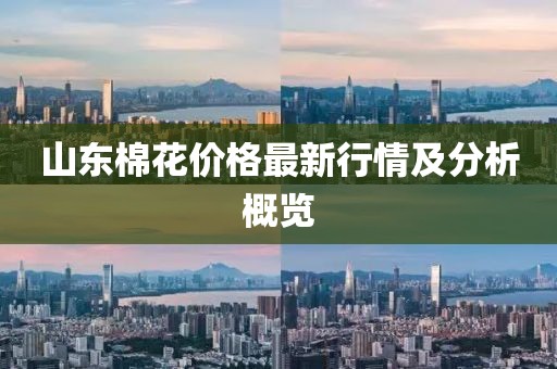 山東棉花價格最新行情及分析概覽