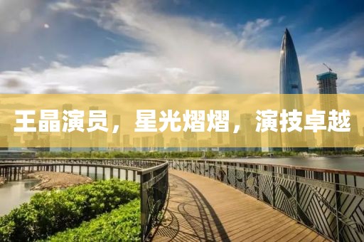 王晶演員，星光熠熠，演技卓越