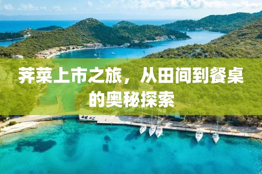 薺菜上市之旅，從田間到餐桌的奧秘探索